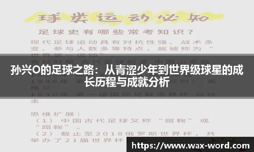 cc网投公司